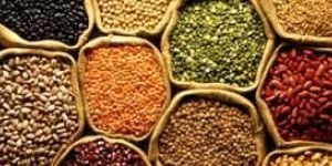 Indian Pulses