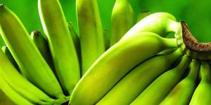 Fresh Green Banana