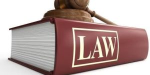 Company Law Services