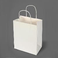 Medical Report Paper Bag