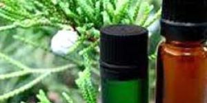 Cypress Oil