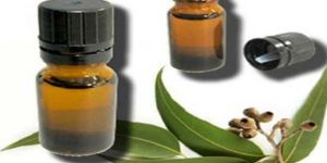 Eucalyptus Oil