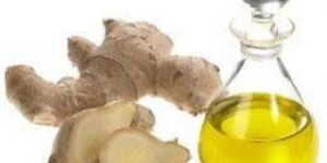 Ginger Oil