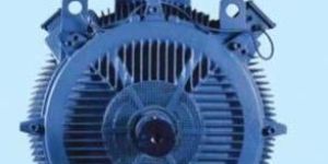 Bharat Electric Motor