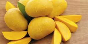 Alphonso Mango