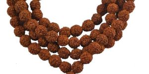 Rudraksha Mala