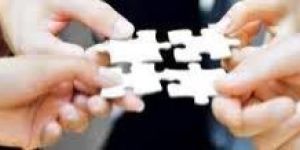 Stock Audit Assurance Services