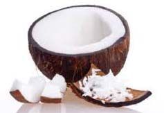 Fresh Coconut