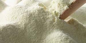 Skimmed Milk Powder