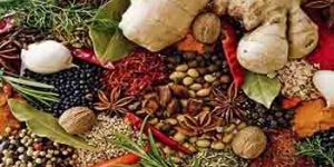 Indian Spices