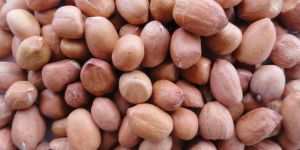 Groundnut Kernels