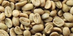 Robusta Coffee Beans