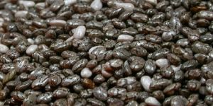 Chia Seeds