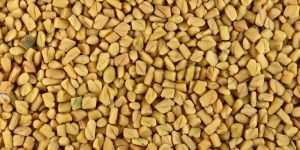 Fenugreek Seed