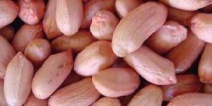 Peanut Kernels