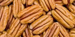 PECAN NUTS