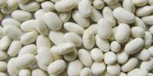White Kidney Beans
