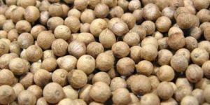 White Pepper Seeds