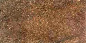Coffee Brown Granite Slabs