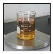 Castor Oil Ethoxylate