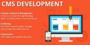 Cms Development Services