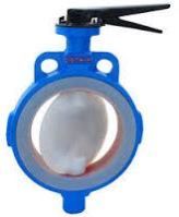 PTFE Lined Butterfly Valve