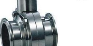 TC End Butterfly Valve