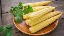 Frozen Baby Corn