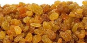 Golden Raisin