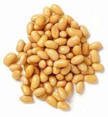 Soybean Seeds