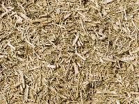 Wood Pulp