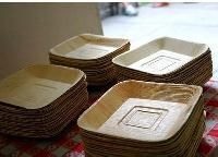 Arecanut Leaf Plates