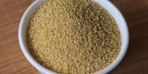 Foxtail Millet