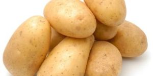 Fresh Potato