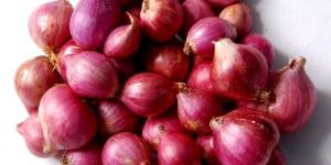 Small Onions