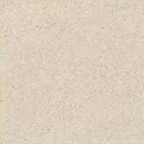 Digital Anti Skid Floor Ceramic Tiles (300X300)