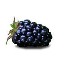 Blackberry