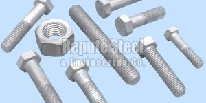 Hot Dip Galvanized Fastener