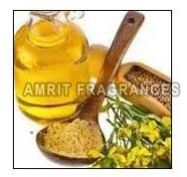 Fennel Seed Oil