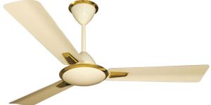 Ceiling Fans