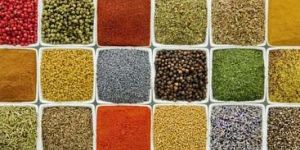 Indian Spices