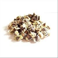 Moringa Oleifera Seeds