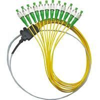 Fiber Optic Pigtails