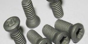 Torx Screw