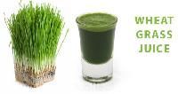 Aloe Vera Wheatgrass Juice