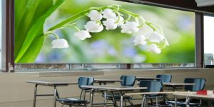 Customized Window Blinds