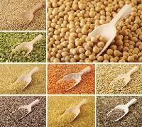 cereals & food grains
