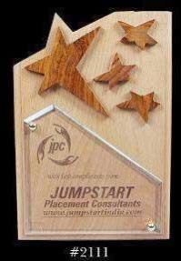 Sports Shield - 2111