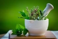 Herbal Veterinary Medicine