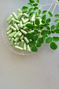 Moringa Products